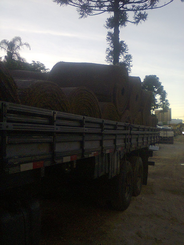 Gramado est sendo replantado na Arena