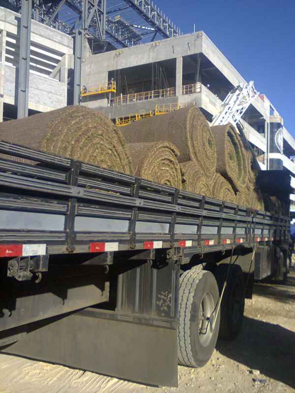 Gramado est sendo replantado na Arena