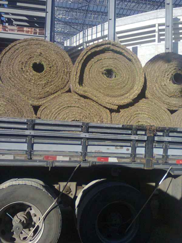 Gramado est sendo replantado na Arena